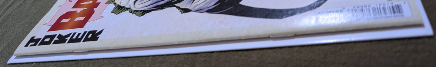 Absolute Batman #15 Nick Dragotta Cover Signed by Nick Dragotta