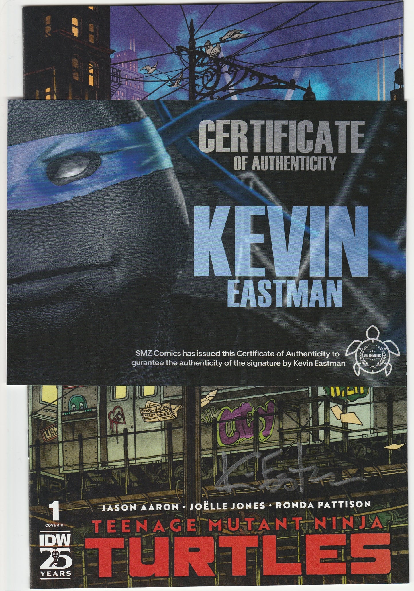 Teenage Mutant Ninja Turtles Vol. 6 #1 Danny Earls 1:25 Connecting Variant Signed by Kevin Eastman w/ COA