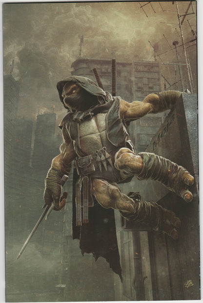 Teenage Mutant Ninja Turtles: The Last Ronin II - Re-Evolution #1 - Björn Barends Exclusive Variant