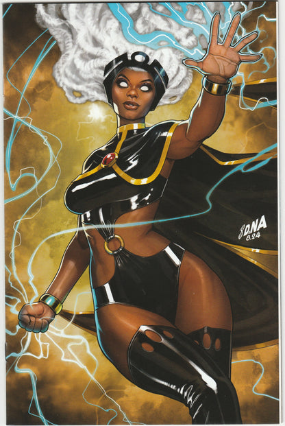 Storm Vol. 5 #1 - David Nakayama Exclusive Virgin Variant