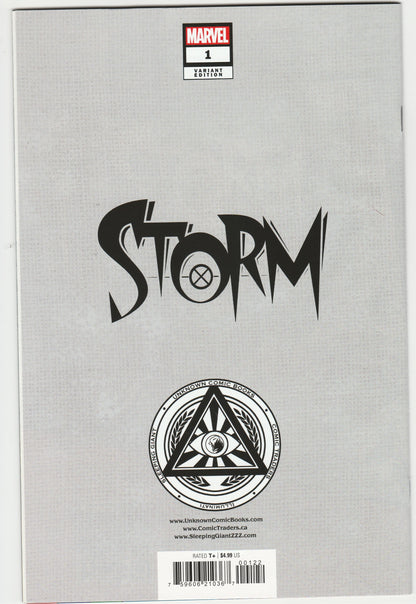 Storm Vol. 5 #1 - David Nakayama Exclusive Virgin Variant