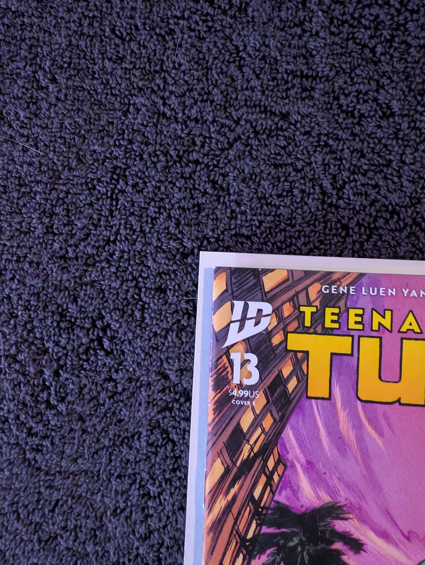 Teenage Mutant Ninja Turtles #13 Daniel Warren Johnson Variant Cover E IDW 2025