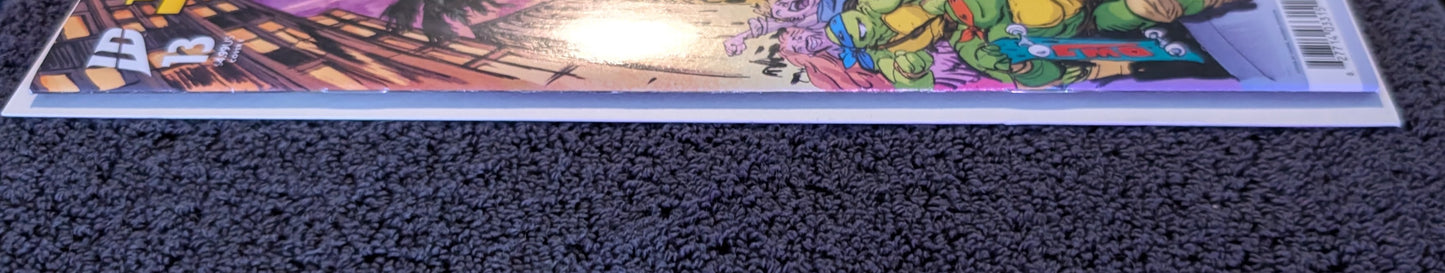 Teenage Mutant Ninja Turtles #13 Daniel Warren Johnson Variant Cover E IDW 2025