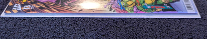 Teenage Mutant Ninja Turtles #13 Daniel Warren Johnson Variant Cover E IDW 2025