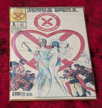 Power IN Love Darthsig Curated Comic Collection Bundle – Batman Harley Quinn CGC 9.8, Spider-Man, X-Men, Storm, Harley & Ivy