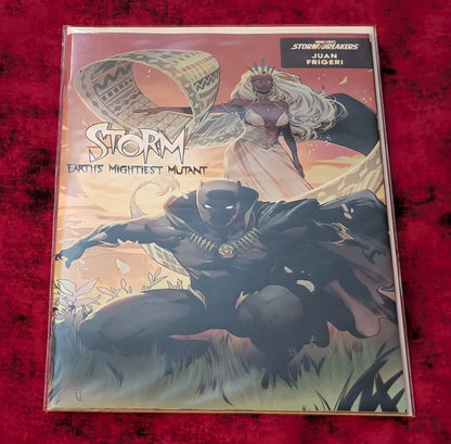 Power IN Love Darthsig Curated Comic Collection Bundle – Batman Harley Quinn CGC 9.8, Spider-Man, X-Men, Storm, Harley & Ivy
