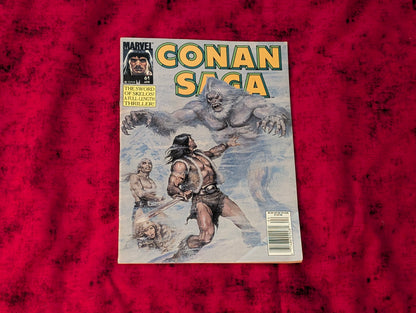 Conan Curated Comic Lot – Savage Sword of Conan & Conan Saga – 18 Issues